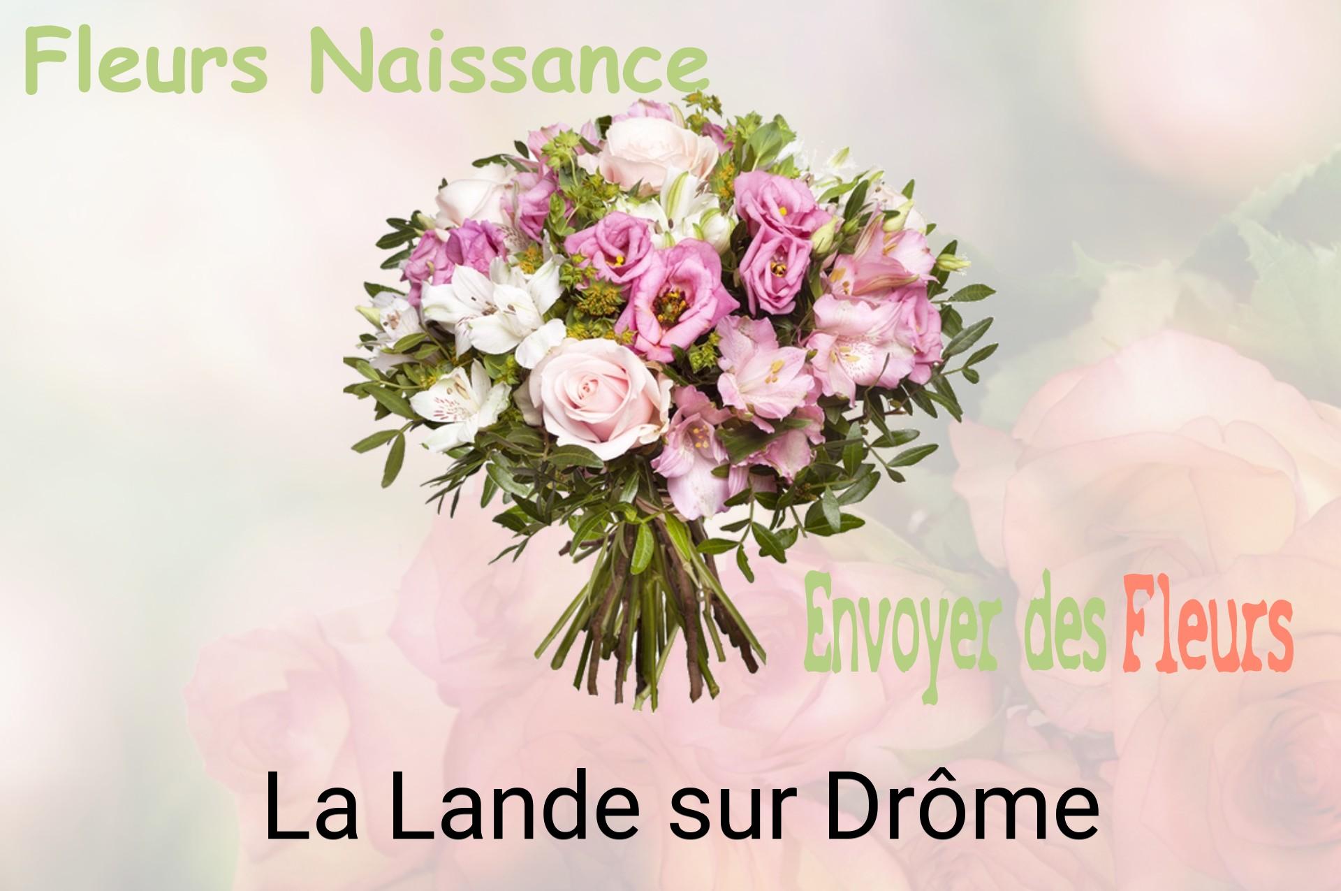 Bouquet de fleurs de naissance livré à La Lande-sur-Drôme